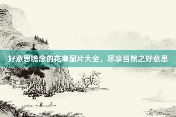 好意思瞻念的花草图片大全，尽享当然之好意思