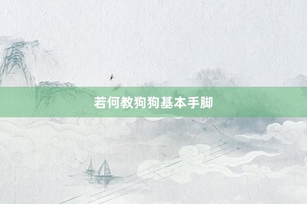 若何教狗狗基本手脚
