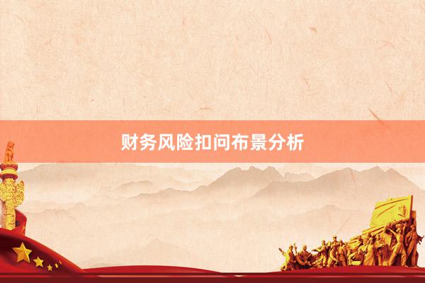 财务风险扣问布景分析
